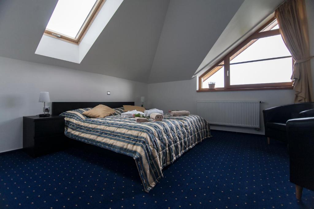 Hotel Krusnohorsky Dvur Cinovec Room photo